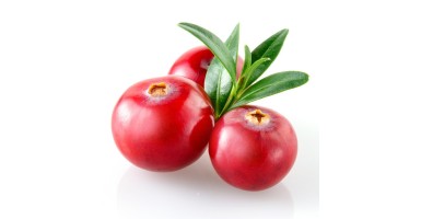 CONCENTRADO CRANBERRY ABACA 75CL