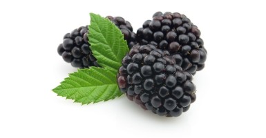 CONCENTRADO MORA ABACA 75CL