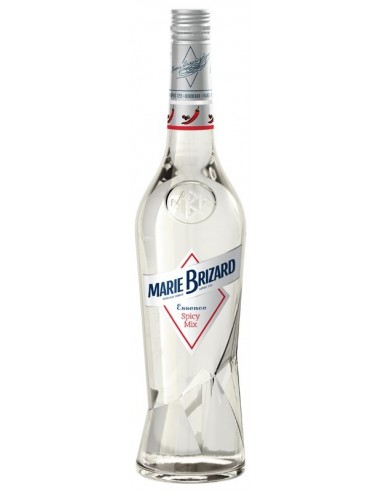 ESSENCE SPICY MIX 50 CL MARIE BRIZARD